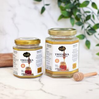 Madu Trigona