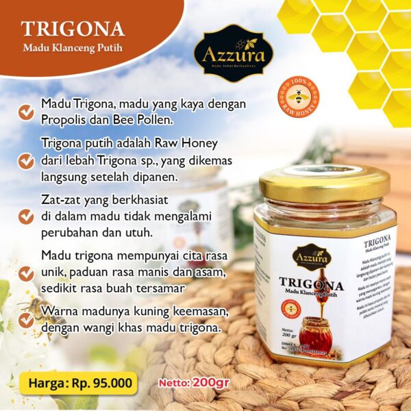 Madu Trigona Putih Botol 200 Gram - Gambar 3