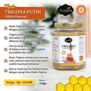 Madu Trigona Putih