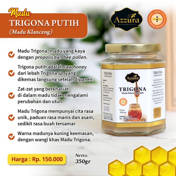 Madu Trigona Putih